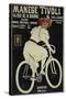 Vintage Bicycle-null-Stretched Canvas