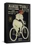 Vintage Bicycle-null-Framed Stretched Canvas