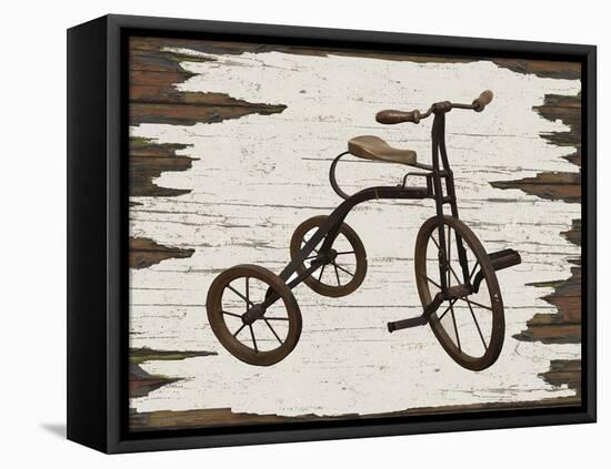 Vintage Bicycle-Karen Williams-Framed Stretched Canvas