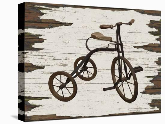 Vintage Bicycle-Karen Williams-Stretched Canvas