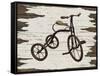 Vintage Bicycle-Karen Williams-Framed Stretched Canvas