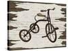 Vintage Bicycle-Karen Williams-Stretched Canvas