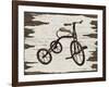 Vintage Bicycle-Karen Williams-Framed Giclee Print