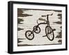 Vintage Bicycle-Karen Williams-Framed Giclee Print