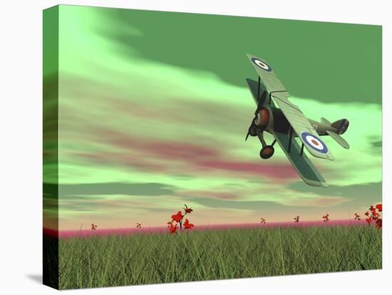 Vintage Biplane Flying Above Green Grass with Flowers by Sunset-null-Stretched Canvas