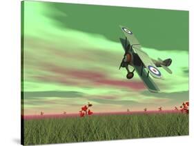 Vintage Biplane Flying Above Green Grass with Flowers by Sunset-null-Stretched Canvas