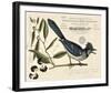 Vintage Bird - Avignon-Stephanie Monahan-Framed Giclee Print