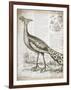 Vintage Bird I-Gwendolyn Babbitt-Framed Art Print