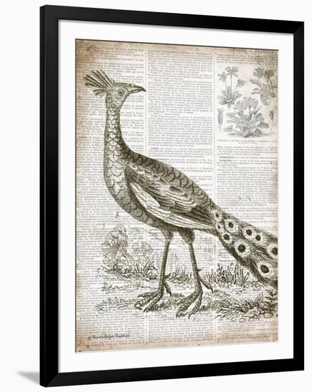 Vintage Bird I-Gwendolyn Babbitt-Framed Art Print