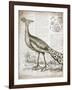 Vintage Bird I-Gwendolyn Babbitt-Framed Art Print