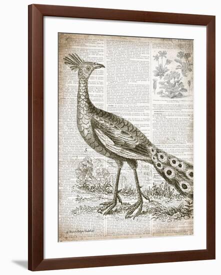 Vintage Bird I-Gwendolyn Babbitt-Framed Art Print