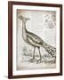 Vintage Bird I-Gwendolyn Babbitt-Framed Art Print