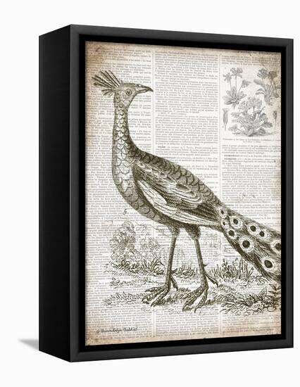 Vintage Bird I-Gwendolyn Babbitt-Framed Stretched Canvas