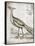 Vintage Bird I-Gwendolyn Babbitt-Framed Stretched Canvas