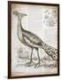 Vintage Bird I-Gwendolyn Babbitt-Framed Premium Giclee Print