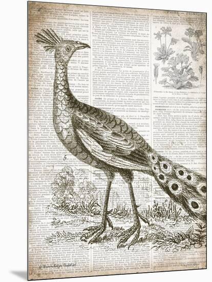 Vintage Bird I-Gwendolyn Babbitt-Mounted Premium Giclee Print
