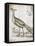 Vintage Bird I-Gwendolyn Babbitt-Framed Stretched Canvas