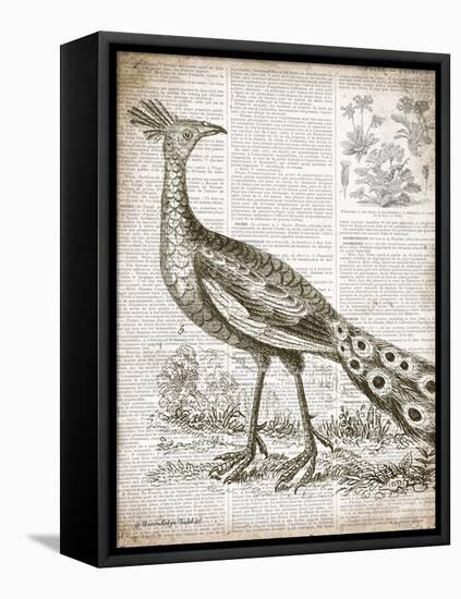 Vintage Bird I-Gwendolyn Babbitt-Framed Stretched Canvas