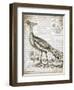 Vintage Bird I-Gwendolyn Babbitt-Framed Art Print