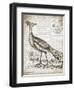 Vintage Bird I-Gwendolyn Babbitt-Framed Art Print