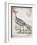 Vintage Bird I-Gwendolyn Babbitt-Framed Art Print