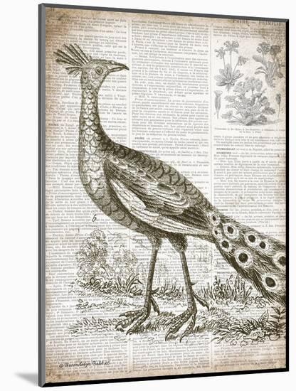Vintage Bird I-Gwendolyn Babbitt-Mounted Art Print