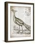 Vintage Bird I-Gwendolyn Babbitt-Framed Art Print