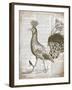 Vintage Bird II-Gwendolyn Babbitt-Framed Art Print