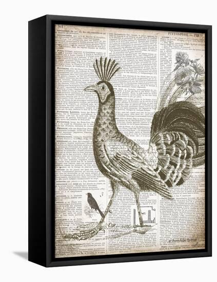 Vintage Bird II-Gwendolyn Babbitt-Framed Stretched Canvas