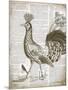 Vintage Bird II-Gwendolyn Babbitt-Mounted Art Print