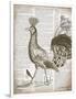Vintage Bird II-Gwendolyn Babbitt-Framed Art Print