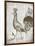 Vintage Bird II-Gwendolyn Babbitt-Framed Art Print