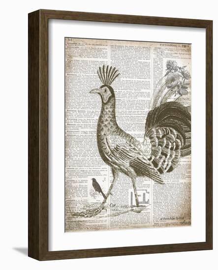 Vintage Bird II-Gwendolyn Babbitt-Framed Art Print