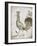 Vintage Bird II-Gwendolyn Babbitt-Framed Art Print