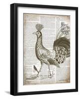 Vintage Bird II-Gwendolyn Babbitt-Framed Art Print