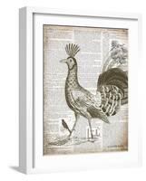 Vintage Bird II-Gwendolyn Babbitt-Framed Art Print