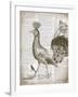 Vintage Bird II-Gwendolyn Babbitt-Framed Art Print