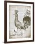 Vintage Bird II-Gwendolyn Babbitt-Framed Art Print