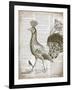 Vintage Bird II-Gwendolyn Babbitt-Framed Art Print