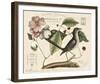 Vintage Bird - Lyon-Stephanie Monahan-Framed Giclee Print