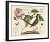 Vintage Bird - Lyon-Stephanie Monahan-Framed Giclee Print