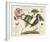 Vintage Bird - Lyon-Stephanie Monahan-Framed Giclee Print