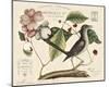 Vintage Bird - Lyon-Stephanie Monahan-Mounted Giclee Print