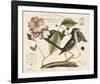 Vintage Bird - Lyon-Stephanie Monahan-Framed Giclee Print