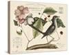 Vintage Bird - Lyon-Stephanie Monahan-Stretched Canvas