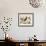 Vintage Bird - Marseilles-Stephanie Monahan-Framed Giclee Print displayed on a wall