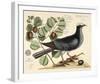 Vintage Bird - Paris-Stephanie Monahan-Framed Giclee Print