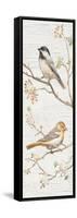 Vintage Birds Panel II-Danhui Nai-Framed Stretched Canvas
