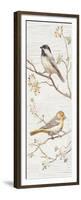 Vintage Birds Panel II-Danhui Nai-Framed Premium Giclee Print