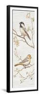 Vintage Birds Panel II-Danhui Nai-Framed Premium Giclee Print